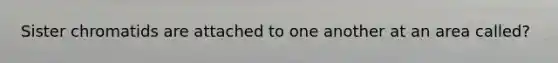 Sister chromatids are attached to one another at an area called?