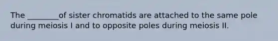 The ________of sister chromatids are attached to the same pole during meiosis I and to opposite poles during meiosis II.