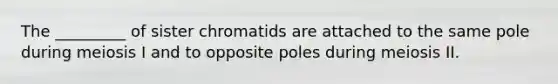 The _________ of sister chromatids are attached to the same pole during meiosis I and to opposite poles during meiosis II.