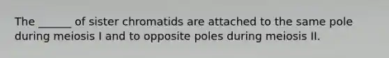 The ______ of sister chromatids are attached to the same pole during meiosis I and to opposite poles during meiosis II.