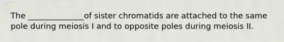 The ______________of sister chromatids are attached to the same pole during meiosis I and to opposite poles during meiosis II.