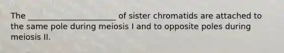 The ______________________ of sister chromatids are attached to the same pole during meiosis I and to opposite poles during meiosis II.