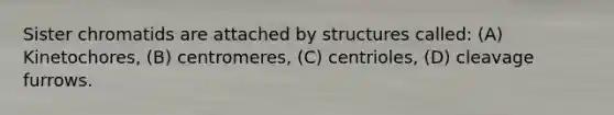 Sister chromatids are attached by structures called: (A) Kinetochores, (B) centromeres, (C) centrioles, (D) cleavage furrows.