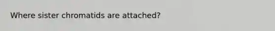 Where sister chromatids are attached?