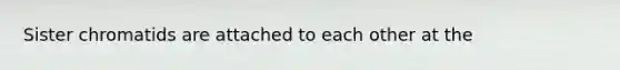 Sister chromatids are attached to each other at the