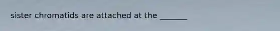 sister chromatids are attached at the _______