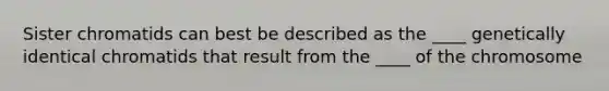 Sister chromatids can best be described as the ____ genetically identical chromatids that result from the ____ of the chromosome