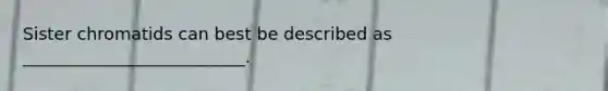 Sister chromatids can best be described as __________________________.