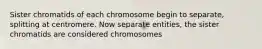 Sister chromatids of each chromosome begin to separate, splitting at centromere. Now separate entities, the sister chromatids are considered chromosomes