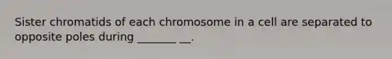 Sister chromatids of each chromosome in a cell are separated to opposite poles during _______ __.