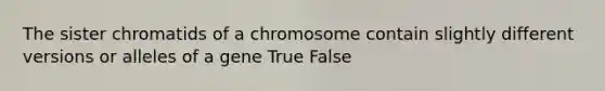 The sister chromatids of a chromosome contain slightly different versions or alleles of a gene True False