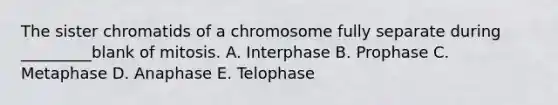 The sister chromatids of a chromosome fully separate during _________blank of mitosis. A. Interphase B. Prophase C. Metaphase D. Anaphase E. Telophase