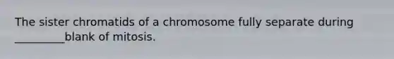 The sister chromatids of a chromosome fully separate during _________blank of mitosis.