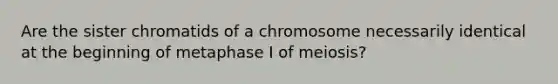 Are the sister chromatids of a chromosome necessarily identical at the beginning of metaphase I of meiosis?