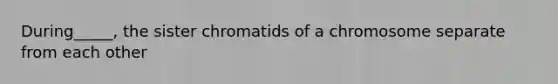 During_____, the sister chromatids of a chromosome separate from each other