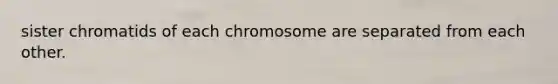 sister chromatids of each chromosome are separated from each other.