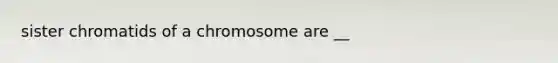 sister chromatids of a chromosome are __