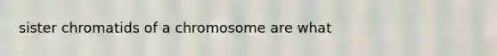 sister chromatids of a chromosome are what