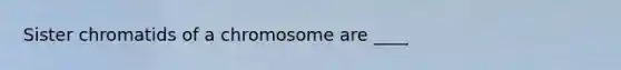 Sister chromatids of a chromosome are ____