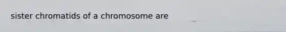 sister chromatids of a chromosome are