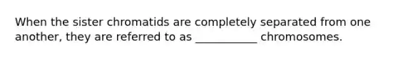 When the sister chromatids are completely separated from one another, they are referred to as ___________ chromosomes.