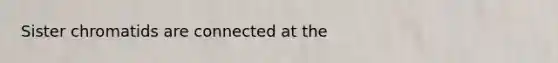 Sister chromatids are connected at the