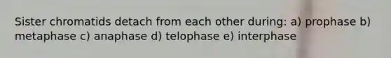 Sister chromatids detach from each other during: a) prophase b) metaphase c) anaphase d) telophase e) interphase