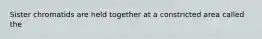 Sister chromatids are held together at a constricted area called the