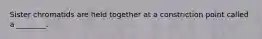 Sister chromatids are held together at a constriction point called a ________.