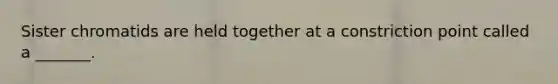 Sister chromatids are held together at a constriction point called a _______.
