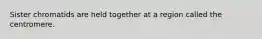 Sister chromatids are held together at a region called the centromere.