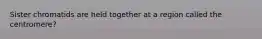 Sister chromatids are held together at a region called the centromere?