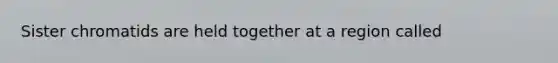 Sister chromatids are held together at a region called