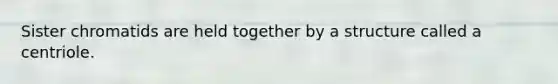 Sister chromatids are held together by a structure called a centriole.