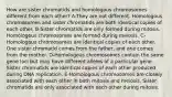 How are sister chromatids and homologous chromosomes different from each other? A-They are not different. Homologous chromosomes and sister chromatids are both identical copies of each other. B-Sister chromatids are only formed during mitosis. Homologous chromosomes are formed during meiosis. C-Homologous chromosomes are identical copies of each other. One sister chromatid comes from the father, and one comes from the mother. D-Homologous chromosomes contain the same gene loci but may have different alleles of a particular gene. Sister chromatids are identical copies of each other produced during DNA replication. E-Homologous chromosomes are closely associated with each other in both mitosis and meiosis. Sister chromatids are only associated with each other during mitosis.