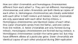 How are sister chromatids and homologous chromosomes different from each other? a. They are not different. Homologous chromosomes and sister chromatids are both identical copies of each other. b. Homologous chromosomes are closely associated with each other in both mitosis and meiosis. Sister chromatids are only associated with each other during mitosis. c. Homologous chromosomes are identical copies of each other. One sister chromatid comes from the father, and one comes from the mother. d. Sister chromatids are only formed during mitosis. Homologous chromosomes are formed during meiosis. e. Homologous chromosomes contain the same gene loci but may have different alleles of a particular gene. Sister chromatids are identical copies of each other produced during DNA replication