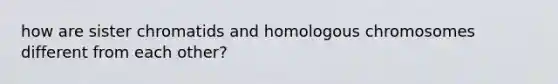 how are sister chromatids and homologous chromosomes different from each other?