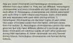 How are sister chromatids and homologous chromosomes different from each other? A. They are not different. Homologous chromosomes and sister chromatids are both identical copies of each other. B. Homologous chromosomes are closely associated with each other in both mitosis and meiosis. Sister chromatids are only associated with each other during mitosis. C. Homologous chromosomes are identical copies of each other. One sister chromatid comes from the father, and one comes from the mother. D. Homologous chromosomes contain the same gene loci but may have different alleles of a particular gene. Sister chromatids are identical copies of each other produced during DNA replication. E. Sister chromatids are only formed during mitosis. Homologous chromosomes are formed during meiosis.