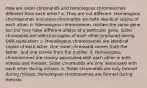 How are sister chromatids and homologous chromosomes different from each other? a. They are not different. Homologous chromosomes and sister chromatids are both identical copies of each other. b. Homologous chromosomes contain the same gene loci but may have different alleles of a particular gene. Sister chromatids are identical copies of each other produced during DNA replication. c. Homologous chromosomes are identical copies of each other. One sister chromatid comes from the father, and one comes from the mother. d. Homologous chromosomes are closely associated with each other in both mitosis and meiosis. Sister chromatids are only associated with each other during mitosis. e. Sister chromatids are only formed during mitosis. Homologous chromosomes are formed during meiosis.