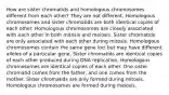 How are sister chromatids and homologous chromosomes different from each other? They are not different. Homologous chromosomes and sister chromatids are both identical copies of each other. Homologous chromosomes are closely associated with each other in both mitosis and meiosis. Sister chromatids are only associated with each other during mitosis. Homologous chromosomes contain the same gene loci but may have different alleles of a particular gene. Sister chromatids are identical copies of each other produced during DNA replication. Homologous chromosomes are identical copies of each other. One sister chromatid comes from the father, and one comes from the mother. Sister chromatids are only formed during mitosis. Homologous chromosomes are formed during meiosis.