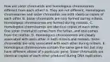 How are sister chromatids and homologous chromosomes different from each other? A. They are not different. Homologous chromosomes and sister chromatids are both identical copies of each other. B. Sister chromatids are only formed during mitosis. Homologous chromosomes are formed during meiosis. C. Homologous chromosomes are identical copies of each other. One sister chromatid comes from the father, and one comes from the mother. D. Homologous chromosomes are closely associated with each other in both mitosis and meiosis. Sister chromatids are only associated with each other during mitosis. E. Homologous chromosomes contain the same gene loci but may have different alleles of a particular gene. Sister chromatids are identical copies of each other produced during DNA replication.