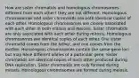 How are sister chromatids and homologous chromosomes different from each other? they are not different. Homologous chromosomes and sister chromatids are both identical copies of each other. Homologous chromosomes are closely associated with each other in both mitosis and meiosis. Sister chromatids are only associated with each other during mitosis. Homologous chromosomes are identical copies of each other. One sister chromatid comes from the father, and one comes from the mother. Homologous chromosomes contain the same gene loci but may have different alleles of a particular gene. Sister chromatids are identical copies of each other produced during DNA replication. Sister chromatids are only formed during mitosis. Homologous chromosomes are formed during meiosis.