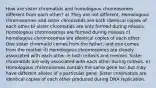 How are sister chromatids and homologous chromosomes different from each other? a) They are not different. Homologous chromosomes and sister chromatids are both identical copies of each other b) sister chromatids are only formed during mitosis. Homologous chromosomes are formed during meiosis c) homologous chromosomes are identical copies of each other. One sister chromatid comes from the father, and one comes from the mother d) Homologous chromosomes are closely associated with each other in both mitosis and meiosis. Sister chromatids are only associated with each other during mitosis. e) Homologous chromosomes contain the same gene loci but may have different alleles of a particular gene. Sister chromatids are identical copies of each other produced during DNA replication.