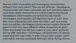 How are sister chromatids and homologous chromosomes different from each other? They are not different. Homologous chromosomes and sister chromatids are both identical copies of each other. Sister chromatids are only formed during mitosis. Homologous chromosomes are formed during meiosis. Homologous chromosomes are identical copies of each other. One sister chromatid comes from the father, and one comes from the mother. Homologous chromosomes contain the same gene loci but may have different alleles of a particular gene. Sister chromatids are identical copies of each other produced during DNA replication. Homologous chromosomes are closely associated with each other in both mitosis and meiosis. Sister chromatids are only associated with each other during mitosis.