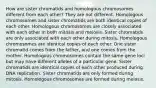 How are sister chromatids and homologous chromosomes different from each other? They are not different. Homologous chromosomes and sister chromatids are both identical copies of each other. Homologous chromosomes are closely associated with each other in both mitosis and meiosis. Sister chromatids are only associated with each other during mitosis. Homologous chromosomes are identical copies of each other. One sister chromatid comes from the father, and one comes from the mother. Homologous chromosomes contain the same gene loci but may have different alleles of a particular gene. Sister chromatids are identical copies of each other produced during DNA replication. Sister chromatids are only formed during mitosis. Homologous chromosomes are formed during meiosis.