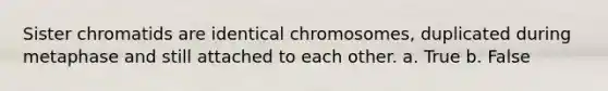 Sister chromatids are identical chromosomes, duplicated during metaphase and still attached to each other. a. True b. False