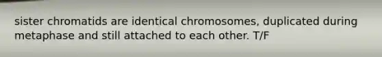 sister chromatids are identical chromosomes, duplicated during metaphase and still attached to each other. T/F