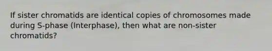 If sister chromatids are identical copies of chromosomes made during S-phase (Interphase), then what are non-sister chromatids?