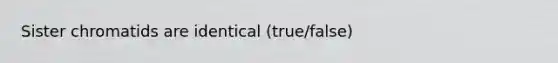 Sister chromatids are identical (true/false)