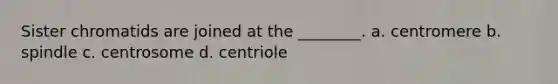 Sister chromatids are joined at the ________. a. centromere b. spindle c. centrosome d. centriole